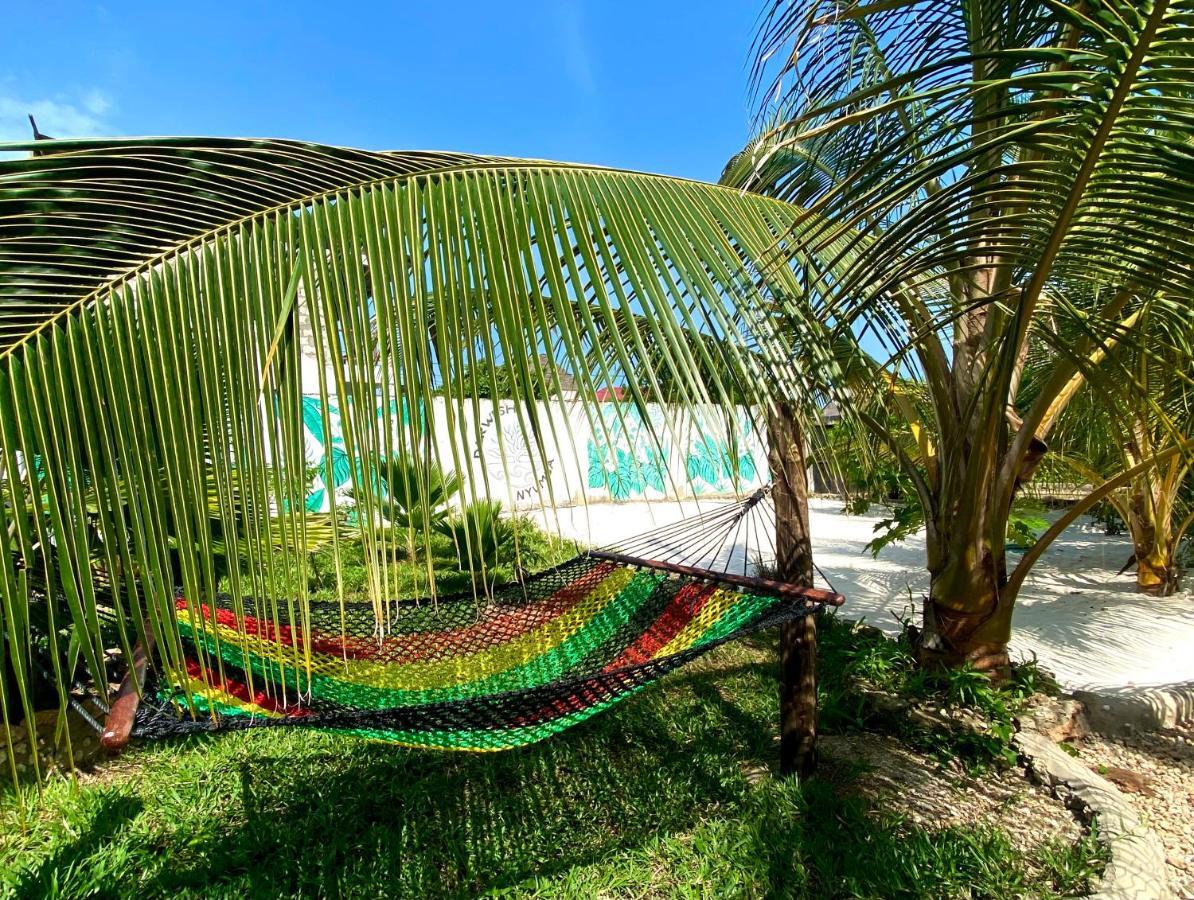 Darwesh Nyumba Lodge Nungwi Buitenkant foto