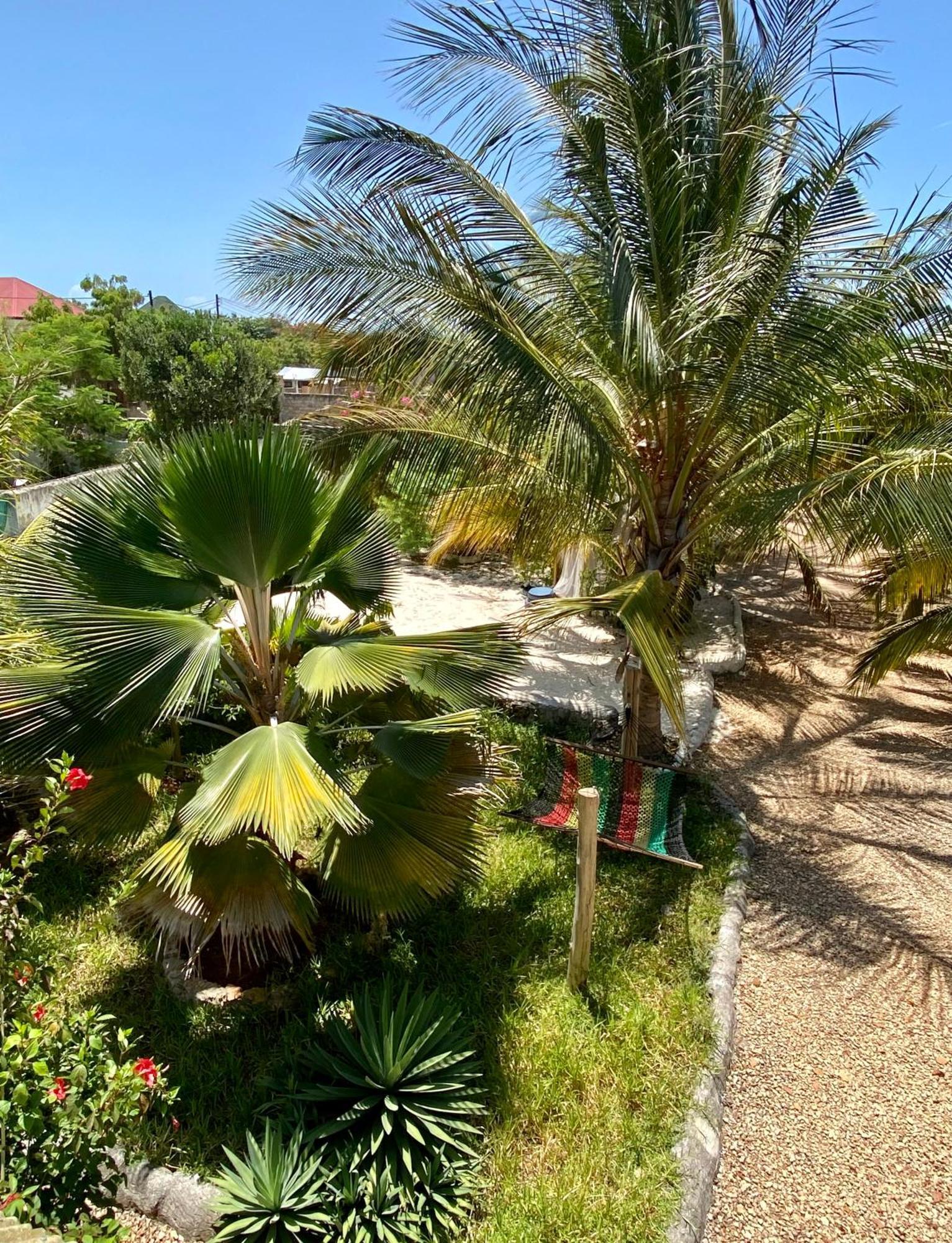 Darwesh Nyumba Lodge Nungwi Buitenkant foto